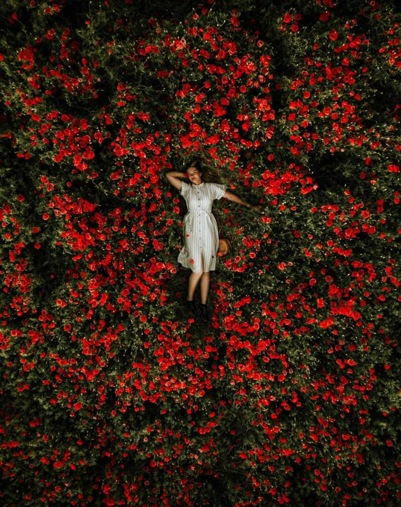 Bed of roses.